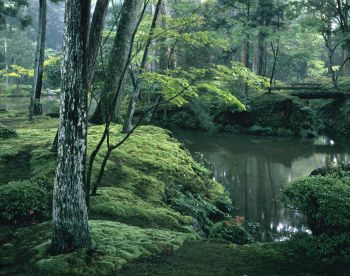 Saihoji kyoto